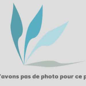 Cache-charnières pour Asus N750JV