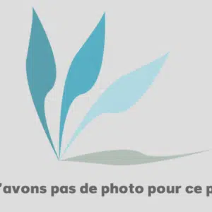 Alimentation FRU42T4417 / FRU92P1157 -- Alimentation correspondant à la référence constructeur FRU42T4417 / FRU92P1157