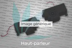 Haut-parleur 813807-001 -- Haut-parleur correspondant à la référence constructeur 813807-001