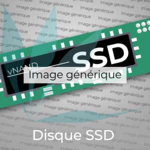 SSD ASU800NS38-256GT-C -- SSD correspondant à la référence constructeur ASU800NS38-256GT-C