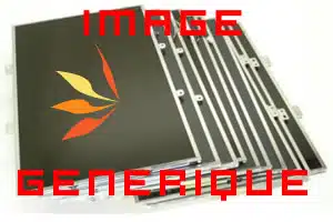 Module écran (dalle + vitre tactile + bezel) reconditionné pour Lenovo Thinkpad T440