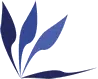 Logo pièce PC portable
