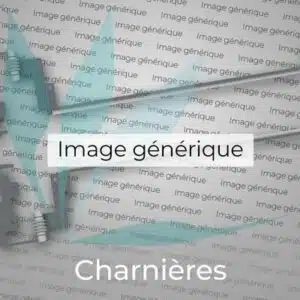Charnières droite et gauche pour Toshiba Satelite Pro L650