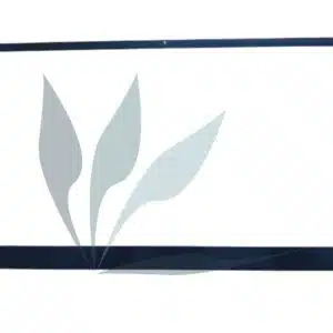 plasturgie tour d'écran neuve pour MSI GP76 Leopard 10UE