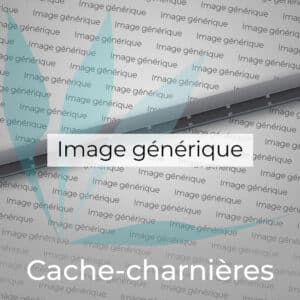 Cache-charnières gris neuf d'origine Lenovo pour Lenovo Ideapad 1-15ADA7