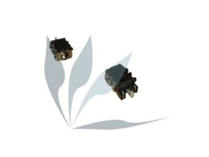 Connecteur 12033-00035000 -- Connecteur correspondant à la référence constructeur 12033-00035000